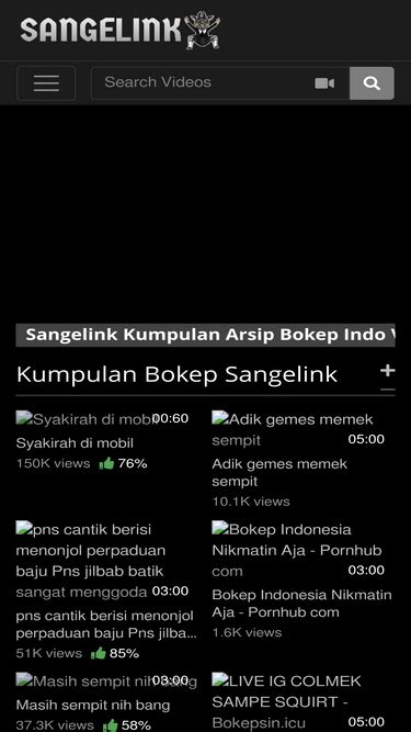 SangeLink.ws